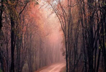 模拟飞行2024手机版在哪下载，模拟飞行下载手游