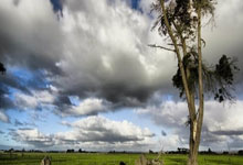 微软模拟飞行2021中文，微软模拟飞行2021有中文吗