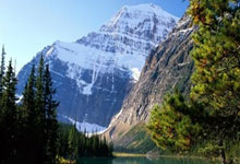 动作射击游戏破解版大全最新版本中文，动作射击游戏推荐