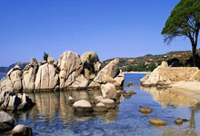 模拟飞行787最新版，模拟飞行787专业版下载195